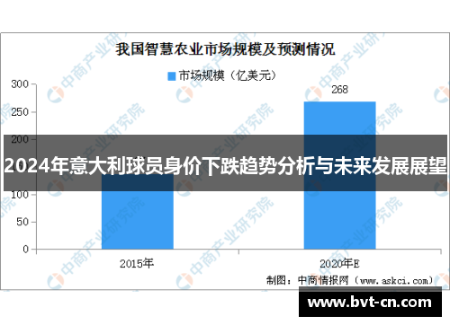 2024年意大利球员身价下跌趋势分析与未来发展展望