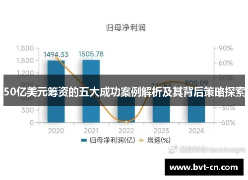 50亿美元筹资的五大成功案例解析及其背后策略探索