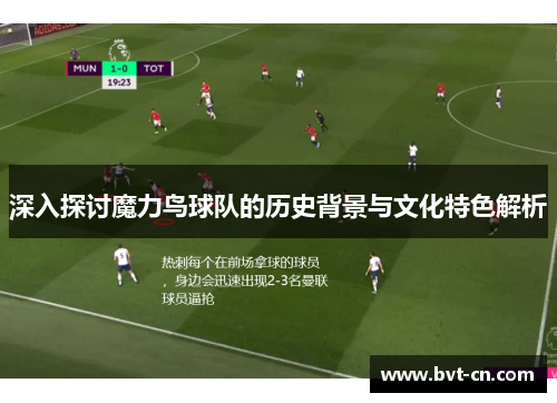 深入探讨魔力鸟球队的历史背景与文化特色解析