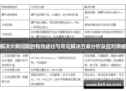 解决欠薪问题的有效途径与常见解决方案分析及应对策略
