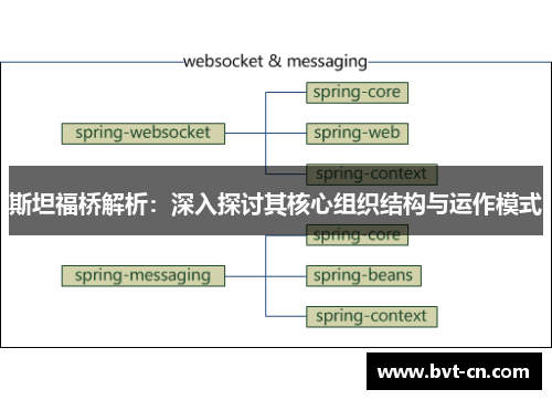 斯坦福桥解析：深入探讨其核心组织结构与运作模式